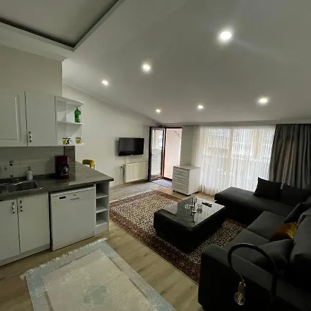 Amazing 1 Bedroom Penthouse With Large Terrace In Sisli 公寓 伊斯坦布尔