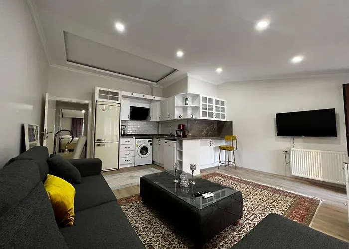 아파트 Amazing 1 Bedroom Penthouse With Large Terrace In Sisli *
